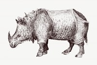 Rhino vintage illustration, animal drawing psd