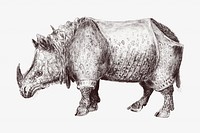 Rhino vintage illustration