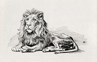 The final vignette of D&ouml;bel's Juuttaalla poem (1897-1900), vintage lion illustration by Albert Edelfelt. Original public domain image from Finnish National Gallery. Digitally enhanced by rawpixel.
