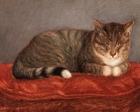 Lying cat, Mosse, (1872-1873), vintage animal painting by Maria Wiik. Original public domain image from Finnish National Gallery. Digitally enhanced by rawpixel.