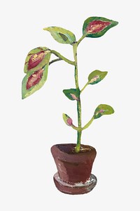 Vintage iresine plant illustration. Remixed by rawpixel. 