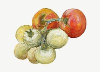 Vintage tomatoes still life, illustration psd by Pekka Halonen. Remixed by rawpixel.