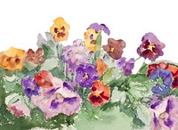 Spring flower border, vintage illustration psd Violets by Maria Wiik. Remixed by rawpixel.