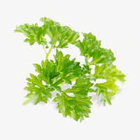 Parsley isolated element psd