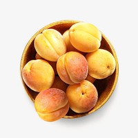 Apricot image on white