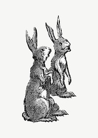 Two bunnies cartoon, vintage animal illustration by Wells, Richardson & Co psd.  Remixed by rawpixel. 