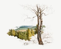 Tree and forest view, nature illustration by Magnus von Wright psd.  Remixed by rawpixel. 