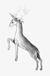 Stag deer, vintage mythical creature illustration.  Remixed by rawpixel. 