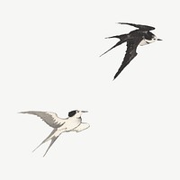 Flying swallow birds, vintage animal illustration by Nampei psd.  Remixed by rawpixel. 