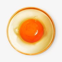 Egg yolk image on white