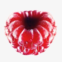 Fresh raspberries, isolated design on white