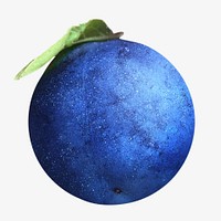 Blueberries fruit, isolated design
