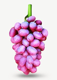 Purple grape design element psd