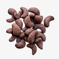 Cocoa seeds isolated image