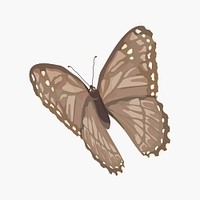 Aesthetic brown butterfly illustration vector