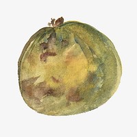 Watercolor green apple  collage element. Remixed by rawpixel.