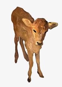 Jersey calf, livestock illustration. Remixed by rawpixel.