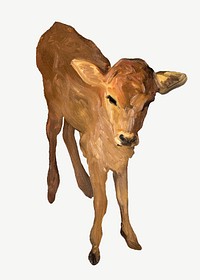 Jersey calf, livestock illustration psd. Remixed by rawpixel.