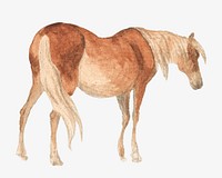 Brown horse, animal illustration. Remixed by rawpixel.