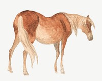 Brown horse, animal illustration psd. Remixed by rawpixel.