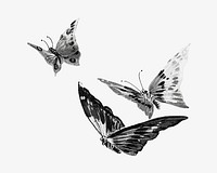 Monotone butterflies, animal illustration. Remixed by rawpixel.