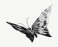 Butterfly monotone, animal illustration psd. Remixed by rawpixel.