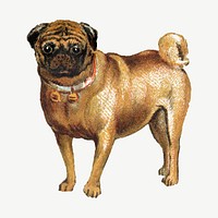 Pug dog, vintage animal illustration psd. Remixed by rawpixel.