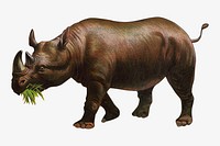 Rhinoceros vintage illustration. Remixed by rawpixel. 