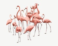 Flamingo birds  collage element, vintage illustration psd. Remixed by rawpixel. 