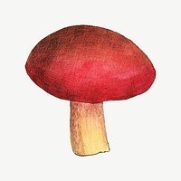 Red mushroom, vintage botanical illustration by James Sowerby psd. Remixed by rawpixel.