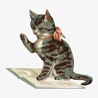 Little kitten, vintage pet animal illustration. Remixed by rawpixel.