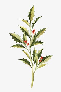 Holly berry, vintage Christmas illustration by Ludvig Sandöe Ipsen. Remixed by rawpixel.