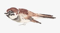 Sparrow birds, Japanese traditional illustration by Teisai Hokuba. Remixed by rawpixel.