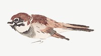 Sparrow birds, Japanese traditional illustration by Teisai Hokuba psd. Remixed by rawpixel.