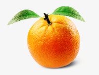 Orange fruit, isolated image