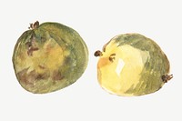 Watercolor green apples collage element psd. Remixed by rawpixel.
