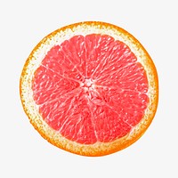 Orange slice, isolated design