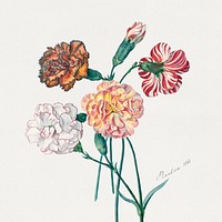 Four carnations (1840) painting. Original public domain image from Smithsonian. Digitally enhanced by rawpixel.
