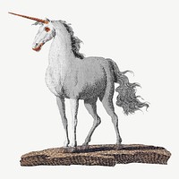 Unicorn vintage illustration psd. Remixed by rawpixel. 