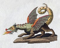 The mythical creature dragon (1806) vintage illustration by Friedrich Johann Justin Bertuch. Original public domain image from Wikimedia Commons. Digitally enhanced by rawpixel.