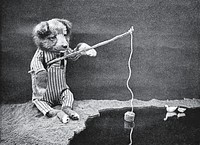 Illustration from "The little folks of animal land". Inscription below image: "Mr. Fourpaw was lucky." (1915) animal art by Harry Whittier Frees. Original public domain image from Wikimedia Commons. Digitally enhanced by rawpixel.