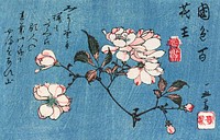 Cherry Blossoms (1797–1858) woodblock print by Utagawa Hiroshige I. Original public domain image from Wikimedia Commons. Digitally enhanced by rawpixel.