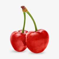 Red cherry, isolated design