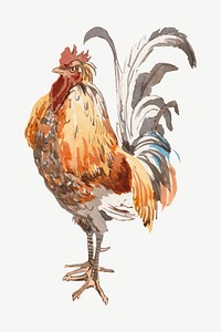 Vintage cock illustration psd. Remixed by rawpixel.