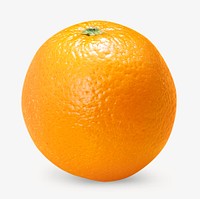 Orange fruit, isolated design