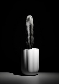 A cactusr white black plant. AI generated Image by rawpixel.