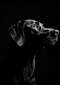 A dog black animal mammal. AI generated Image by rawpixel.