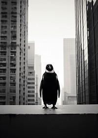 A penguin in the city black white bird. AI generated Image by rawpixel.
