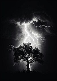 Lightning to the tree thunderstorm outdoors nature. AI generated Image by rawpixel.