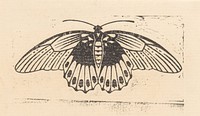 Vlinder (1901) by Julie de Graag